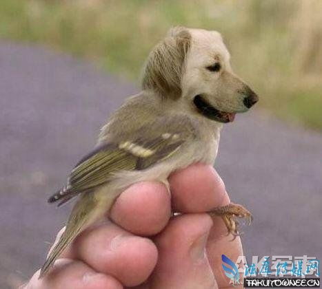 传说中的神秘人兽杂交产物,太恐怖了