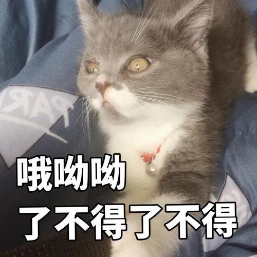 活久见钦州这辆电动车竟然有两个车牌,真是厉害了