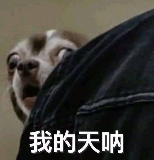 不可能吧表情包沙雕