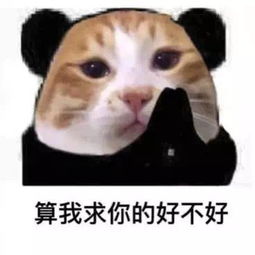 岂不美哉表情包妙龄