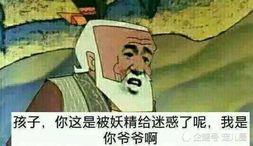 各种沙雕表情包