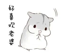 表情包天大地大,老婆最大