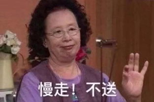 各种各样的表情包罗文姬