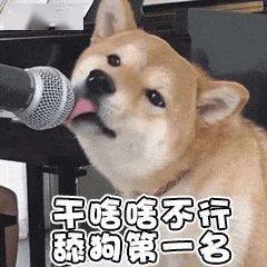 沙雕表情包干啥啥不行,单身我最行