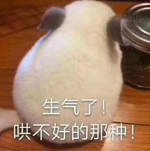我要生气啦可爱表情包