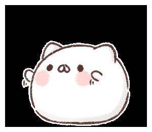 猫猫团子系列表情包