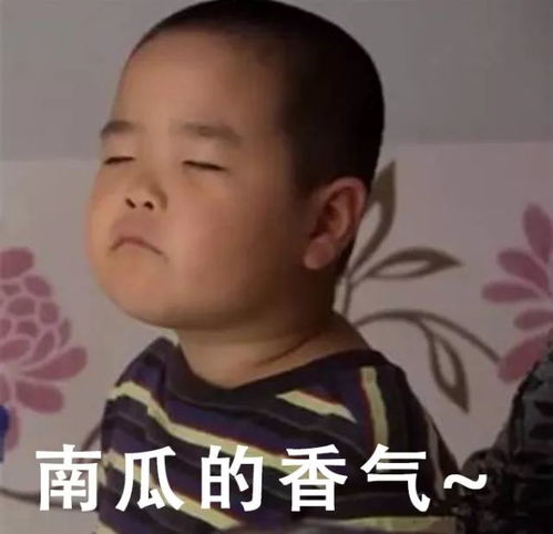 比红薯粉糯,比板栗更香甜,超模刘雯减肥的最爱,周杰伦老婆孕期超爱吃的贝贝南瓜