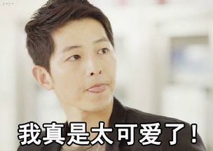卖了你买糖吃表情包宋仲基