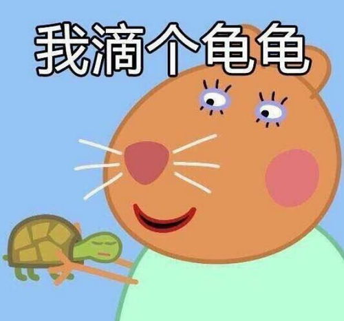 1号线固戍地铁站,可男可女可情侣此房间为一房一厅一卫一厨