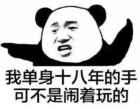 堆糖,美好生活研究所
