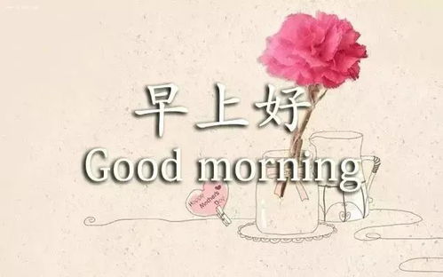周二最新群发早上好问候表情动画图片,早安问候祝福语动态图片带字