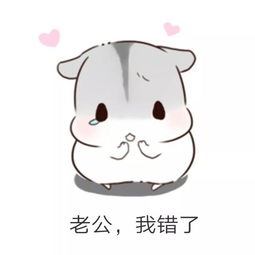 哄男朋友表情包男朋友生气怎么办多半是装的,打一顿就好了