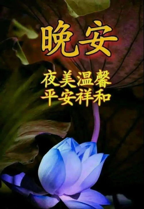睡前群发晚安问候动画表情图片,朋友圈晚安问候祝福语图片带字