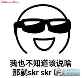 嘻哈skr表情包下载嘻哈表情包skr下载飞翔下载