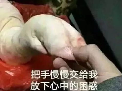 今天除夕年夜饭,舌尖的盛宴,团圆的味道附2018央视春晚节目单