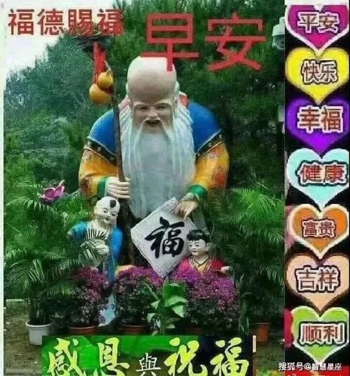 6月5日清晨聊天不用打字的动态图片不打字了动态让图说话