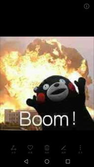 求熊本熊boom爆炸的那个表情包高清