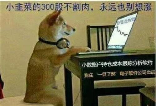 快过年了先赚主力十斤猪肉再说说到做到人民网603000聊吧赢家聊吧