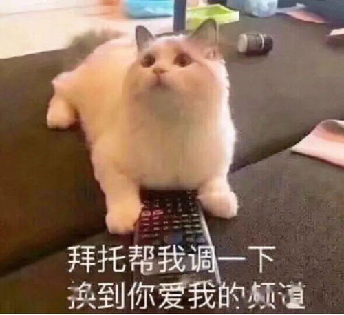 怎么让自己看起来瘦10斤