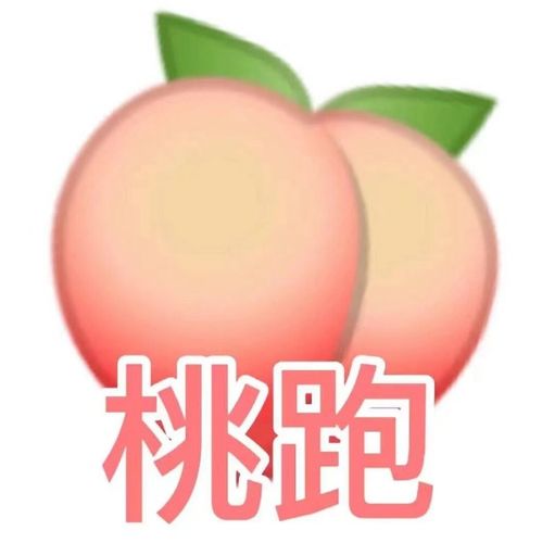 水果表情包头像,可夏天了