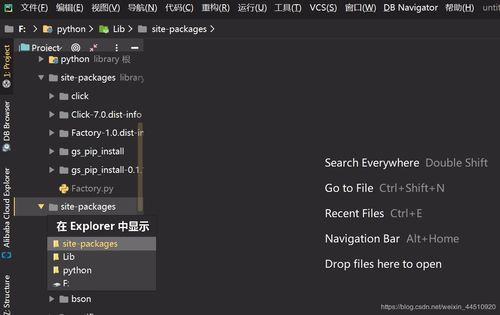 python安装包