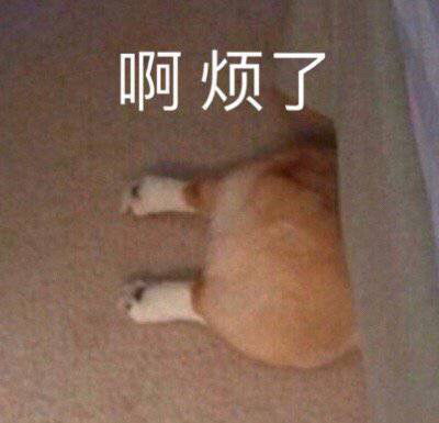 表情包沙雕表情包624期