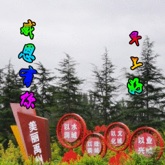 100张早上好表情包动态好心情