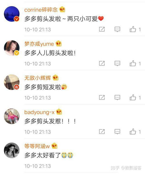 多多又换新发色了,和多妹站一起宛如仙女下凡,多妹的表情不一般