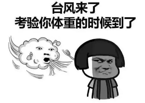 保险台风季你还没买航班延误险