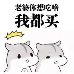 谁有给女朋友道歉的图片