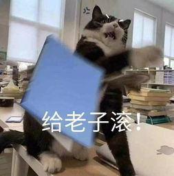 100的表情包沙雕