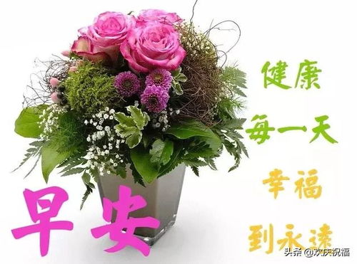 早上漂亮表情问候祝福图片,早上好微信温馨祝福图片问候语