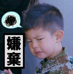 嫌弃溢于言表表情包小鱼儿