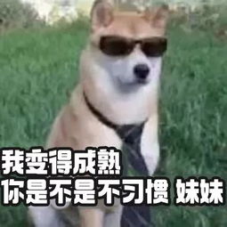 坚持20天只跳绳,到底能瘦多少真人测评