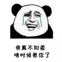 都已最火视频表情包i我们一起学男朋友叫