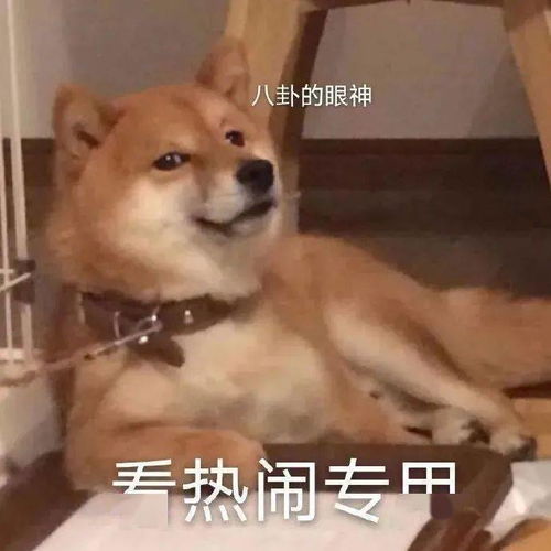 杂图表情包聊天最好用没人反对吧