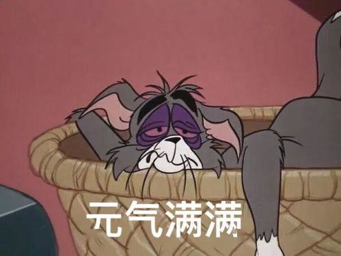 猫和老鼠表情包是要我现在开始酸吗
