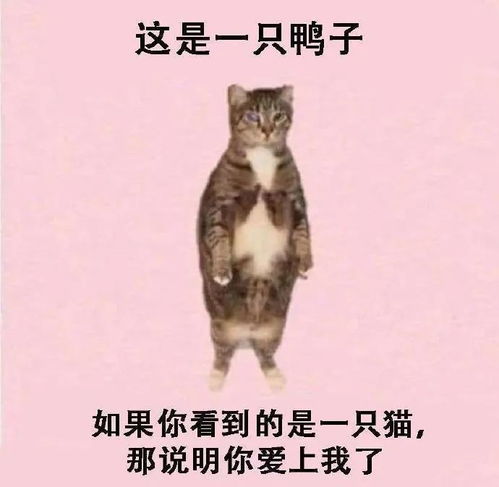 可爱沙雕表情包精神小狗表情包
