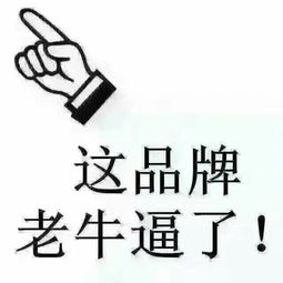 不怕偷的防盗门一一德盾