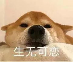 孩子上幼儿园最好的状态是,哭着哭着就适应了