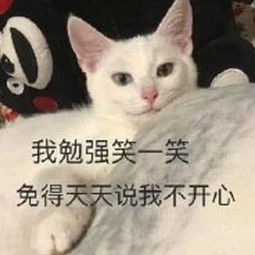 敢和女友闺密撩出火的男人,大概是真的不想活了吧