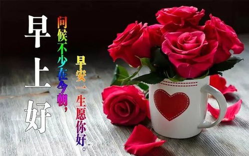 特别漂亮早上好问候语鲜花图片表情,早上好问候图片祝福句子