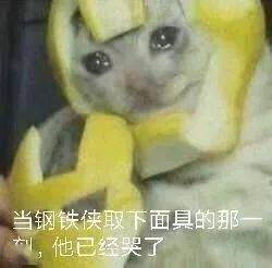 本科vs专科,毕业十年后差距到底有多大答案很真实