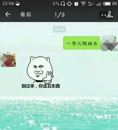 有一种代沟叫爸妈看不懂我的表情包篇末彩蛋