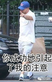 大家别用表情包吓小李子,他疯起来连熊都打