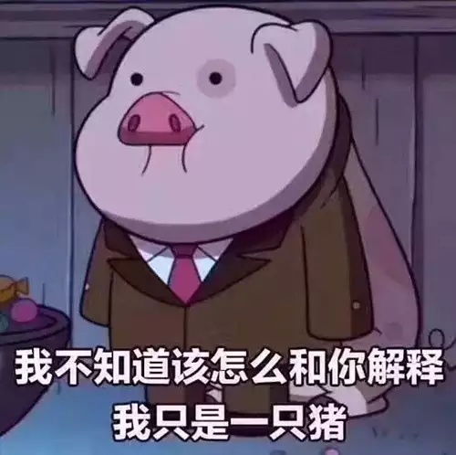 小懒猪表情包赚钱