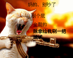 小猫gif动态表情包gif