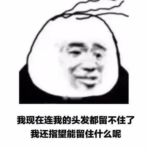 熊猫头表情包i长夜漫漫,无心睡眠