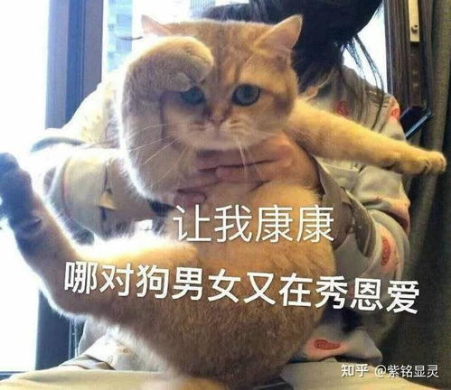 有意思的怼人藏头诗