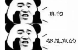 小孩子才做选择题,成年人表示allin